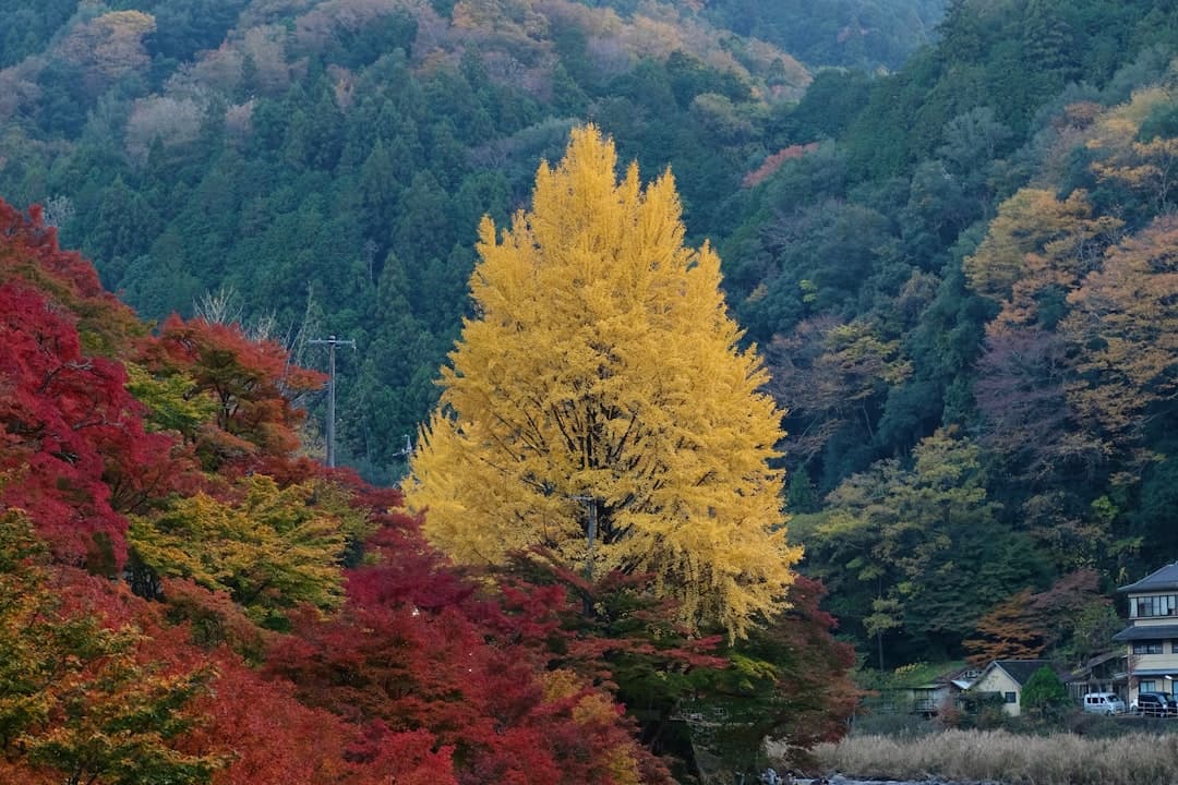 blog post cover photo